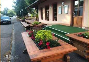 453581-Vorschaubild4