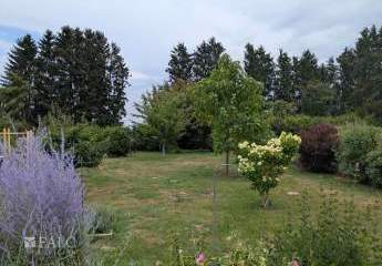 484527-Vorschaubild4