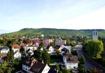 425952-Vorschaubild2