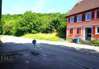 427705-Vorschaubild3