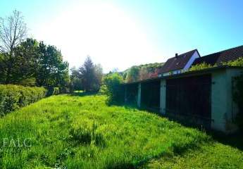 442341-Vorschaubild4