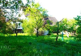 442342-Vorschaubild3