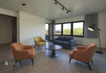 448389-Vorschaubild4