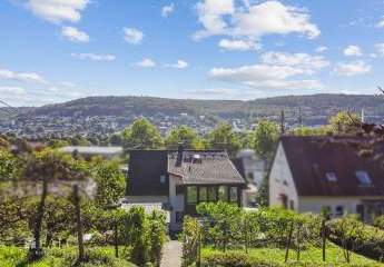 448525-Vorschaubild2