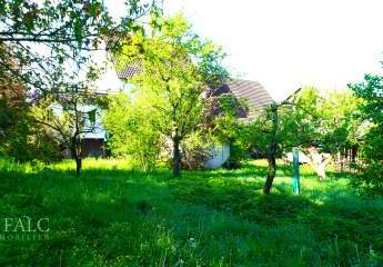 448702-Vorschaubild3