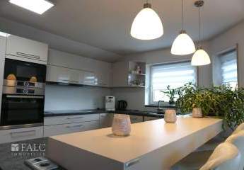 453393-Vorschaubild3