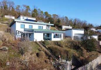 455960-Vorschaubild2