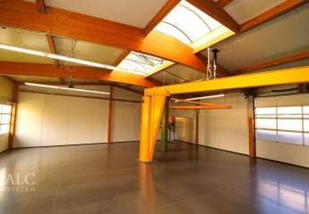 455963-Vorschaubild4