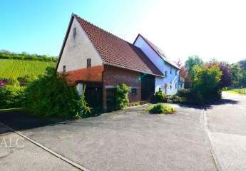 442340-Vorschaubild4