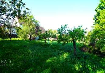 448702-Vorschaubild3