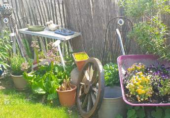 456740-Vorschaubild4