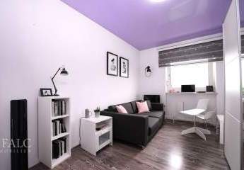 456929-Vorschaubild3