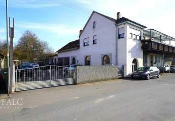 458155-Vorschaubild4