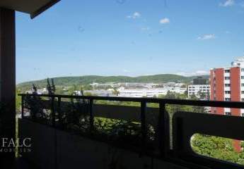 420330-Vorschaubild2