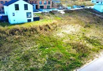 443514-Vorschaubild4