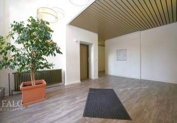 461844-Vorschaubild3