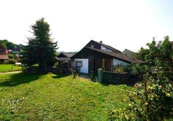 462350-Vorschaubild4