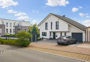 443197-Vorschaubild2