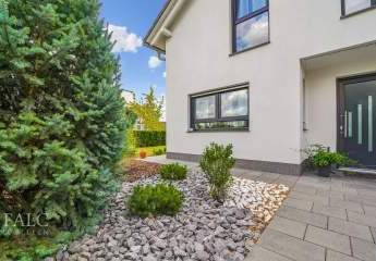 443197-Vorschaubild3