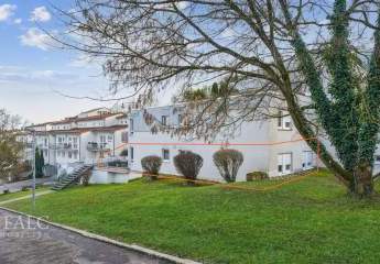 448363-Vorschaubild2