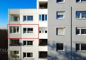 467029-Vorschaubild4