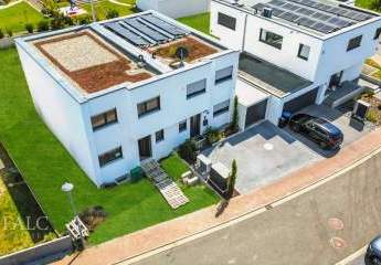 467193-Vorschaubild3