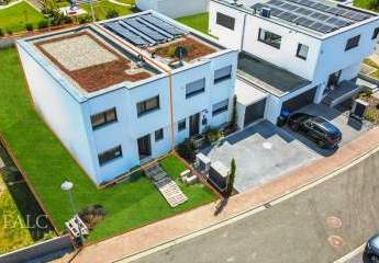 467193-Vorschaubild4