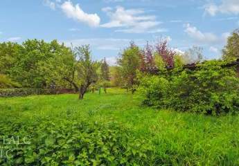 448701-Vorschaubild3