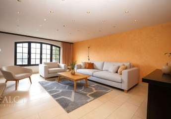 468336-Vorschaubild4