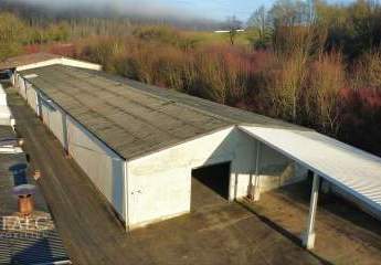 469588-Vorschaubild2