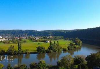 450021-Vorschaubild4