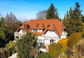 472460-Vorschaubild2