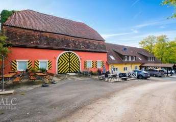 472905-Vorschaubild2