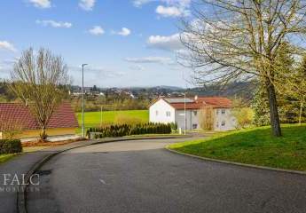 474153-Vorschaubild3