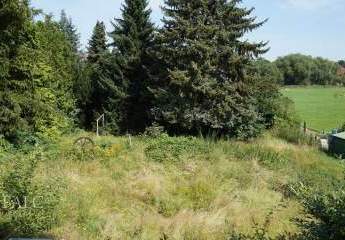 371228-Vorschaubild2