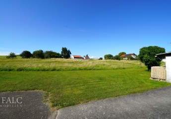 475332-Vorschaubild3