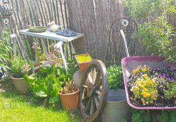 456740-Vorschaubild4