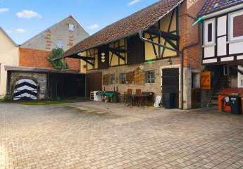 479560-Vorschaubild2