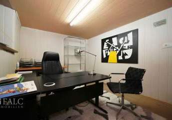 481714-Vorschaubild3