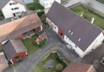 482669-Vorschaubild2