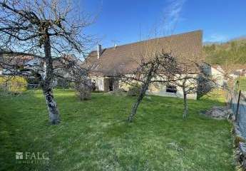 482669-Vorschaubild4