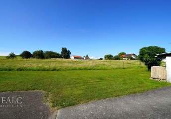 484573-Vorschaubild3