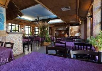 485605-Vorschaubild2