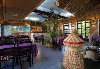 485605-Vorschaubild3