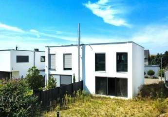 487636-Vorschaubild3