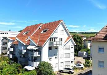 495061-Vorschaubild2