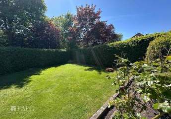 429884-Vorschaubild3