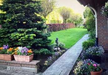 478710-Vorschaubild3