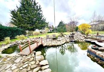 484667-Vorschaubild4