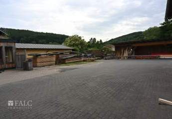 431206-Vorschaubild2